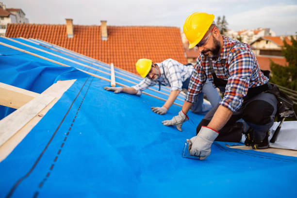 Best Roof Repair Services  in New Concord, OH
